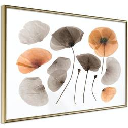 Arkiio Affisch Meadow Herbarium [Poster] 30x20 Poster